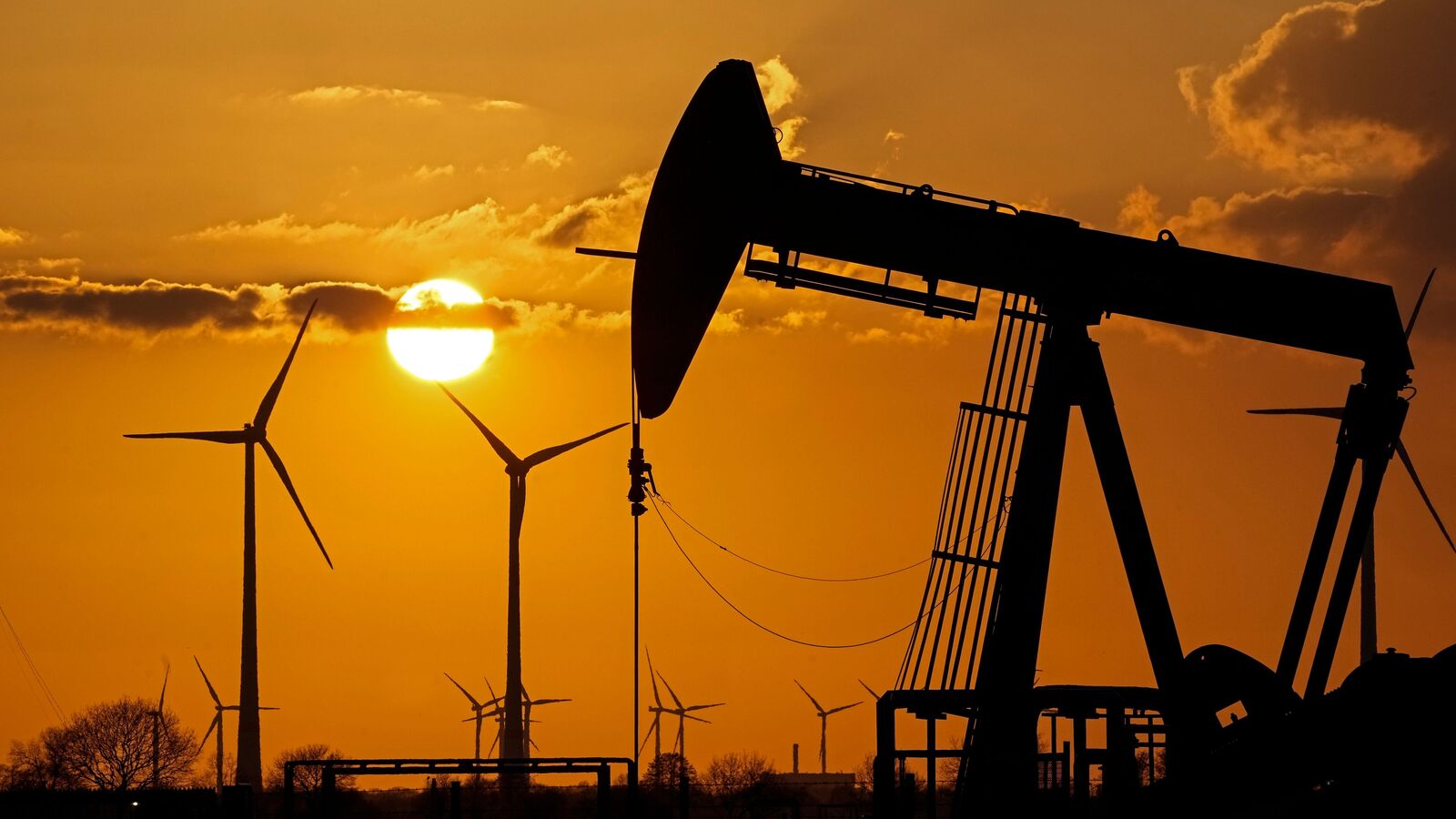 IOC, BPCL to HPCL: Oil PSU stocks gain up to 2.5% as crude oil rally loses steam ahead of US-Iran talks this weekend