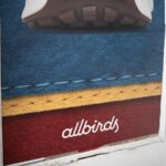 Allbirds stock price jumps nearly 600% on plans to rebrand itself as AI company