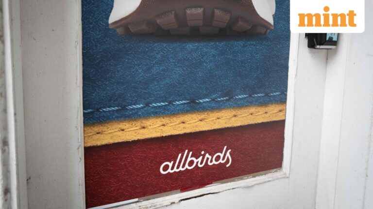 Allbirds stock price jumps nearly 600% on plans to rebrand itself as AI company