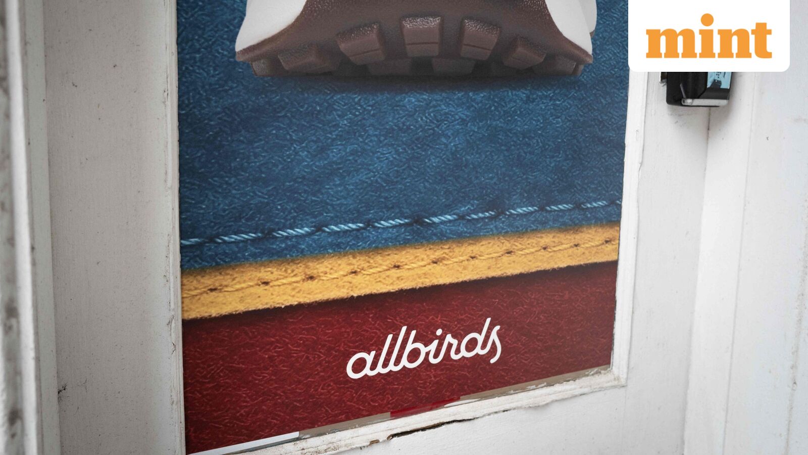 Allbirds stock price jumps nearly 600% on plans to rebrand itself as AI company