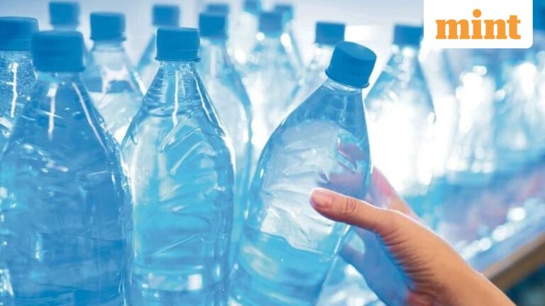 Blackstone-backed EPL unlocks new growth avenue with Indovida merger