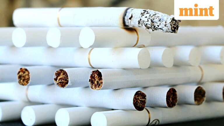 VST Industries shares surge 19%: What's behind the rally in this Radhakishan Damani-owned stock?