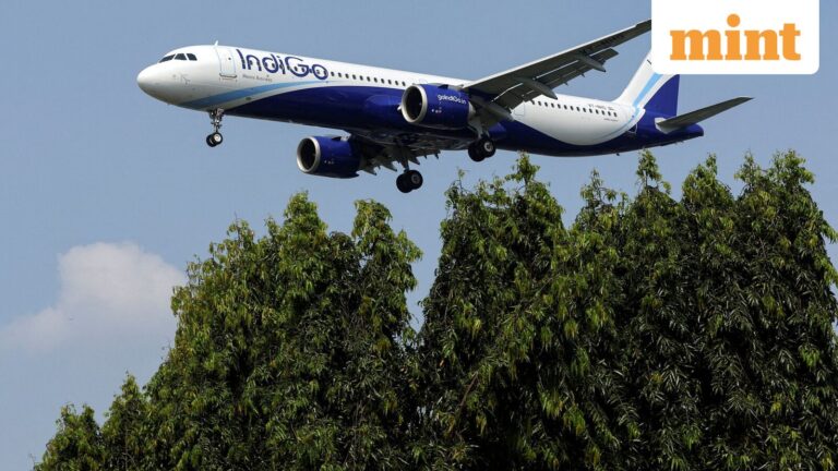 IndiGo share price jumps nearly 8% after airline ropes in ex-IATA chief William Walsh as CEO | Stock Market News