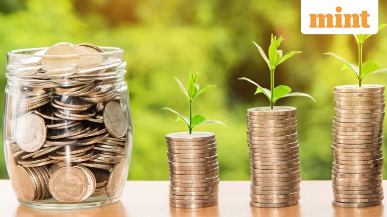 Locked out of global markets, new AMCs struggle to level the playing field