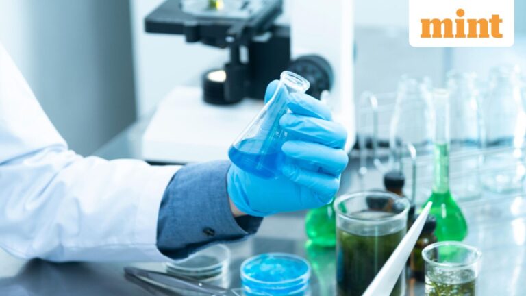 The most undervalued CDMO stocks in India to watch | Stock Market News