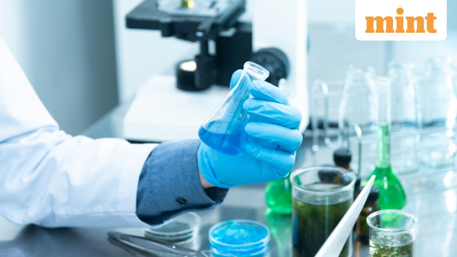 The most undervalued CDMO stocks in India to watch | Stock Market News