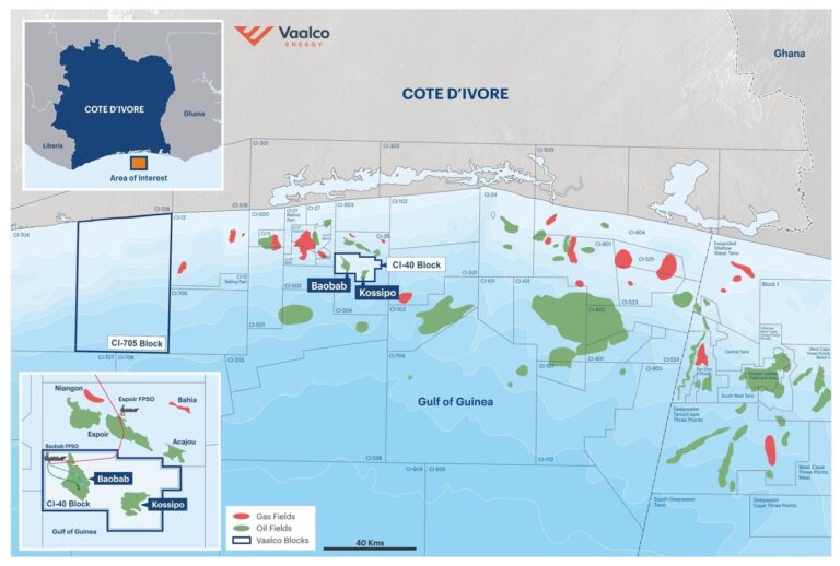 VAALCO advances Gabon drilling program, targets Q2 restart of Baobab offshore field