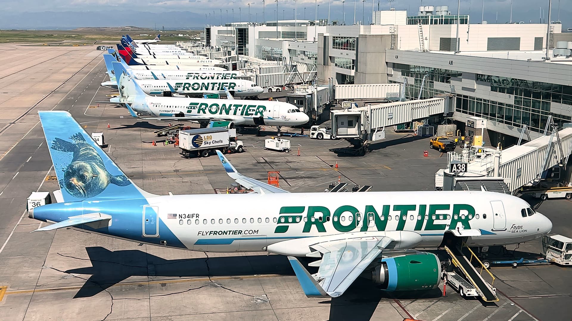 Frontier jet hits and kills pedestrian on runway in Denver during takeoff