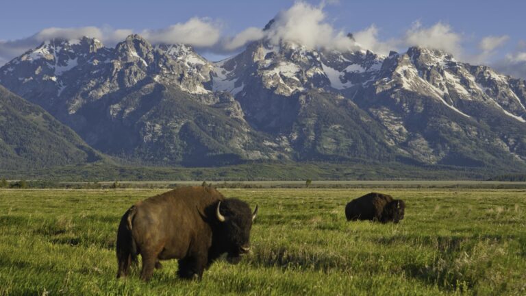 Congress and retailers want to rebuild national parks. Tolls on federal roads might pay for it