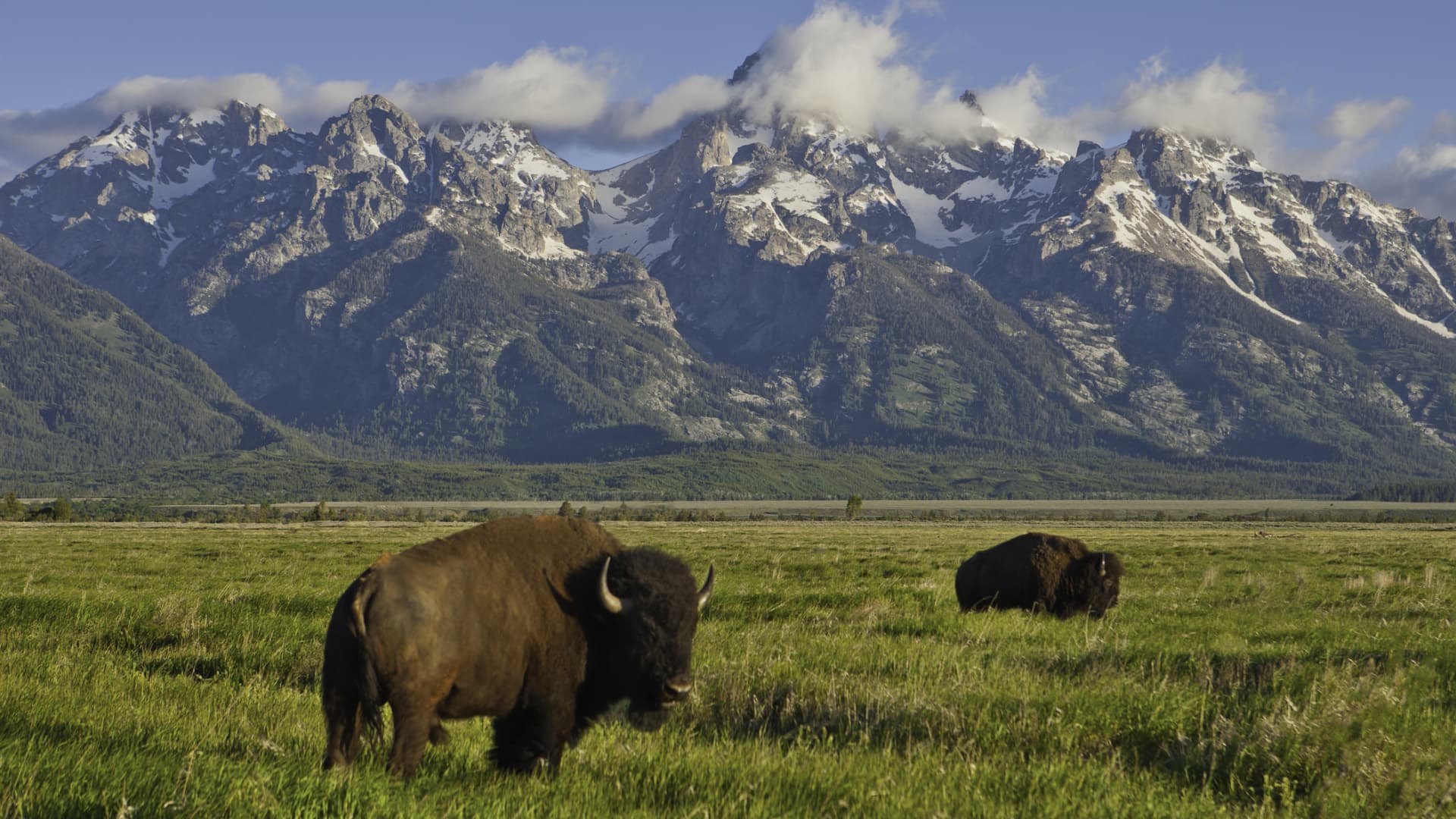 Congress and retailers want to rebuild national parks. Tolls on federal roads might pay for it