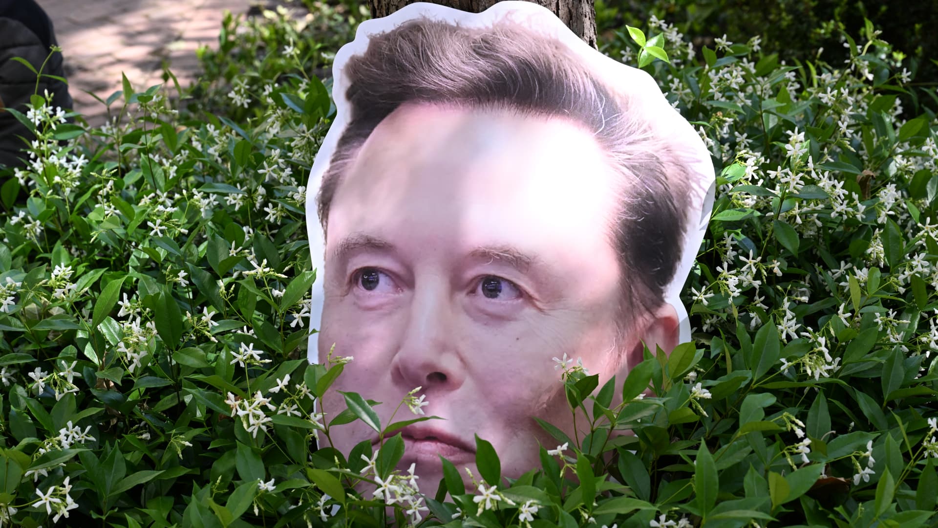 Elon Musk billionaires bill supporters draw progressive challengers in Delaware