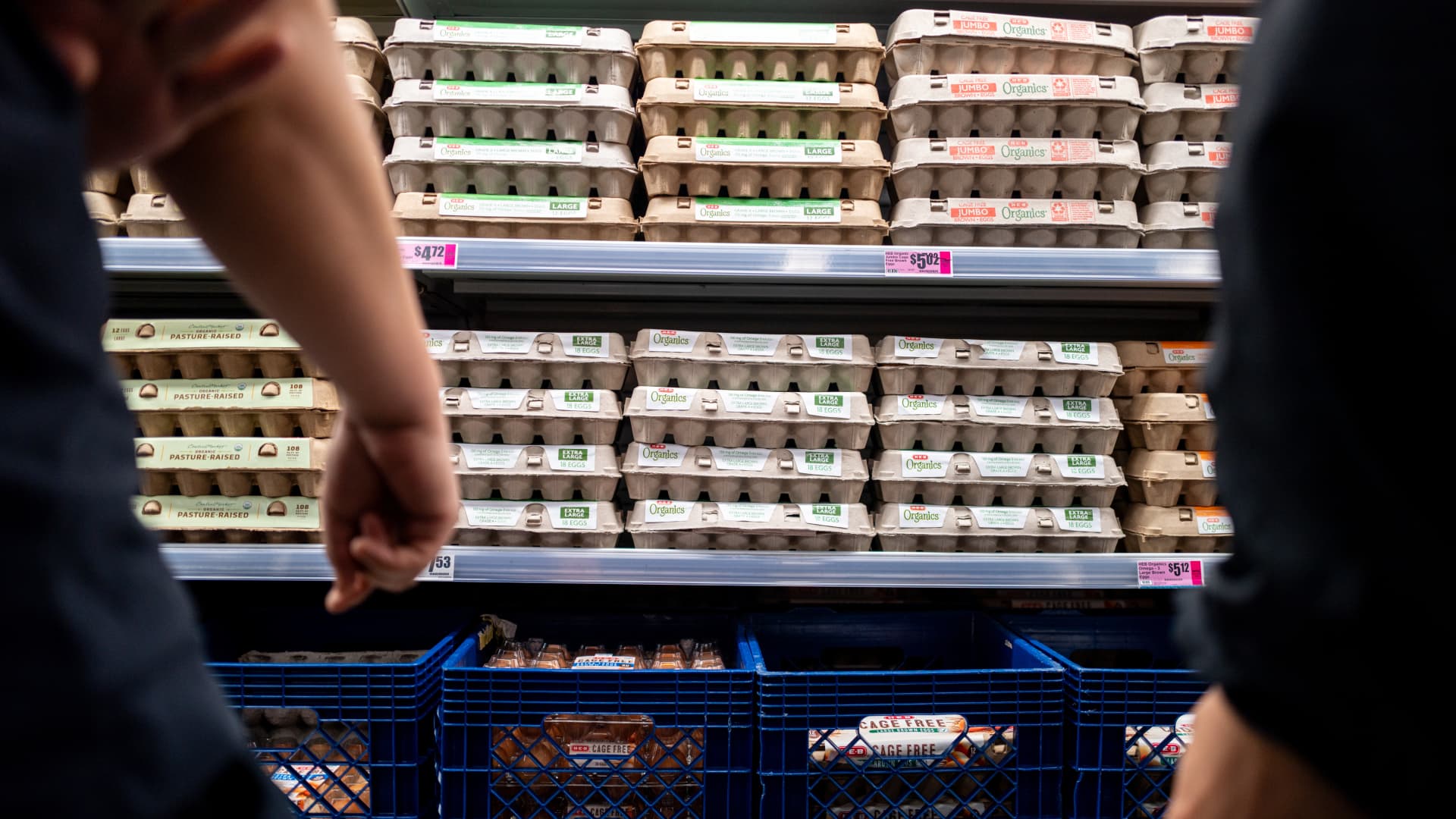 Egg prices are plunging due to oversupply — and producers say margins are taking a hit as costs rise