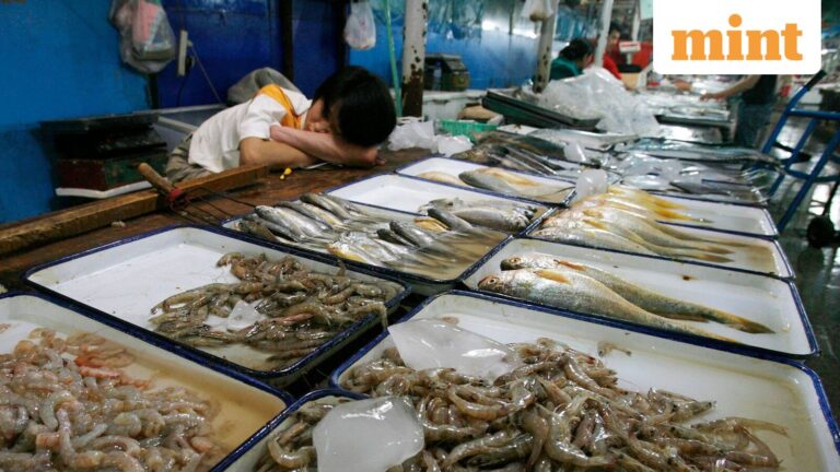 Seafood stocks make a splash as cargoes skirt Hormuz route