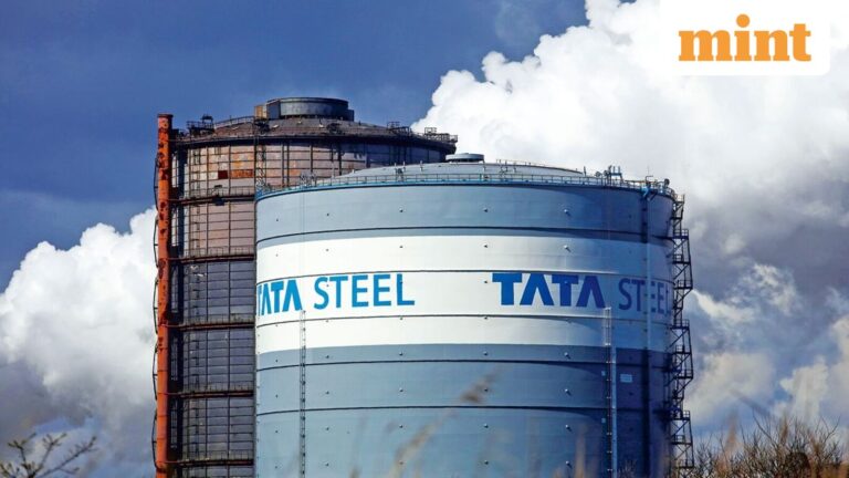 Tata Steel’s strong quarter meets a Dutch roadblock