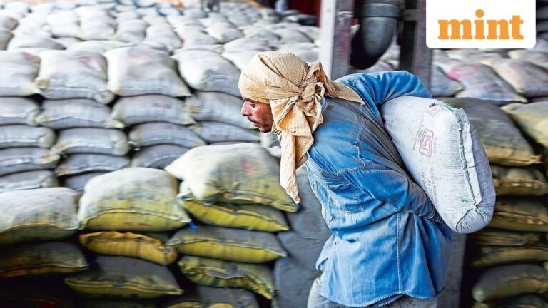 Can Shree Cement, Ambuja's capex breather allay sector’s overcapacity concerns?