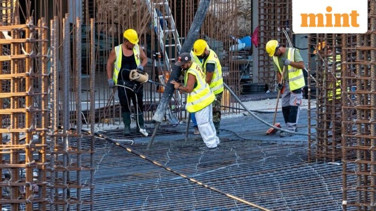 Dividend stocks: Shree Cement announces  ₹70 final dividend for FY26 along with Q4 results