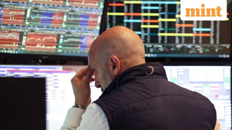 Are U.S. Markets Acting Like Meme Stocks? Some Actions Have Investors Worried.
