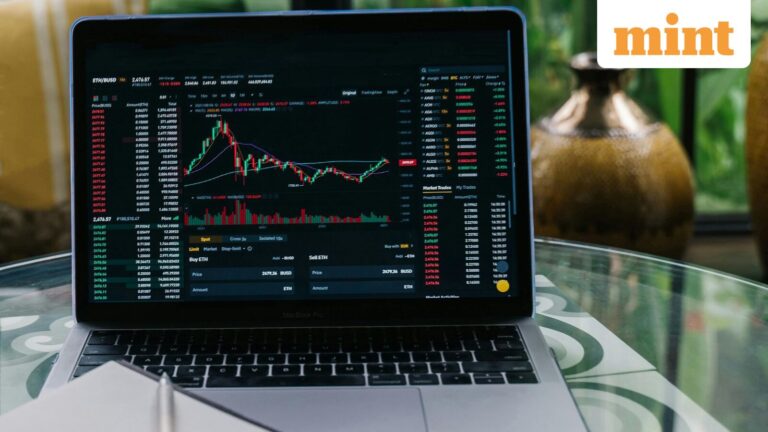 Stock market crash: Nifty 50 slips below 24,000. Will it fall below 22,000 this time?