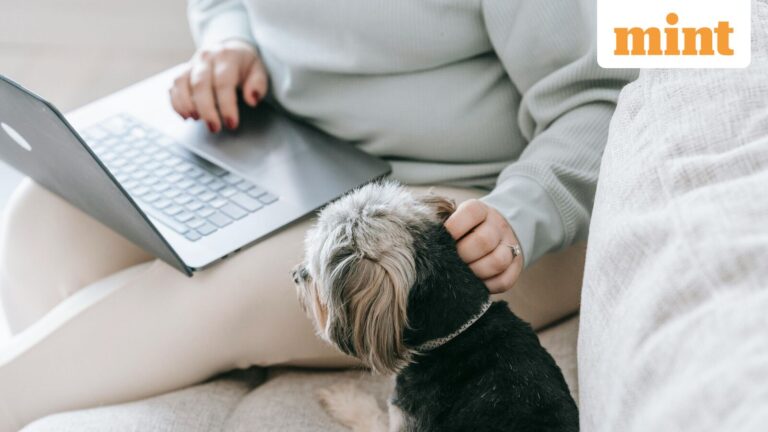 Can WFH adoption upset the apple cart for office leasing by Reits?