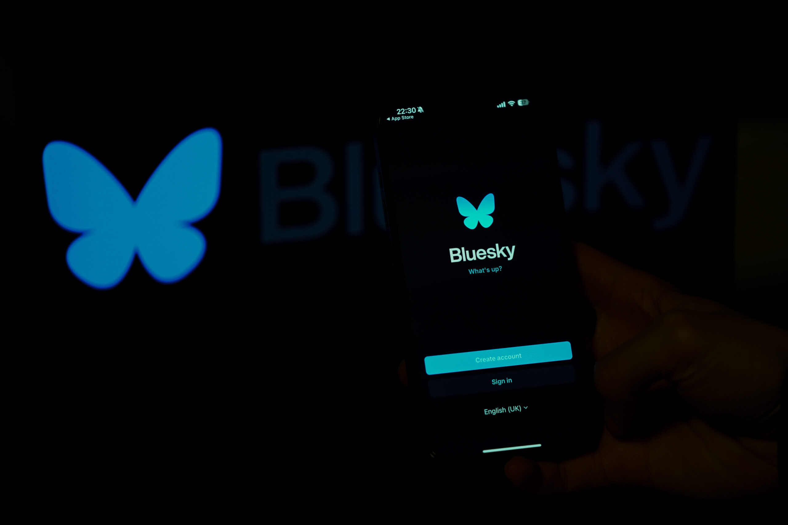 The BlueSky logo is displayed on a mobile phone screen with its icon in back of it.