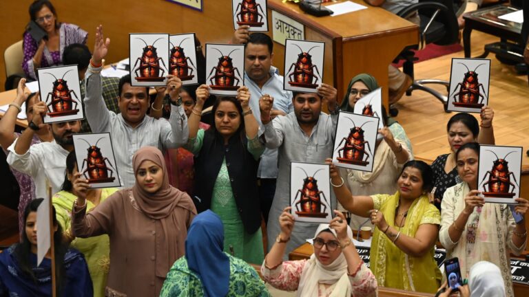 India's viral 'Cockroach' party has millions of followers. What investors need to know