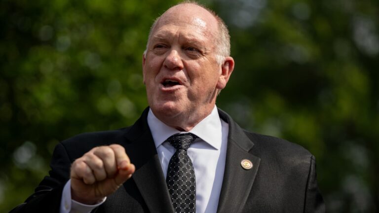 White House border czar Tom Homan blames New York Gov. Hochul for promised ICE surge