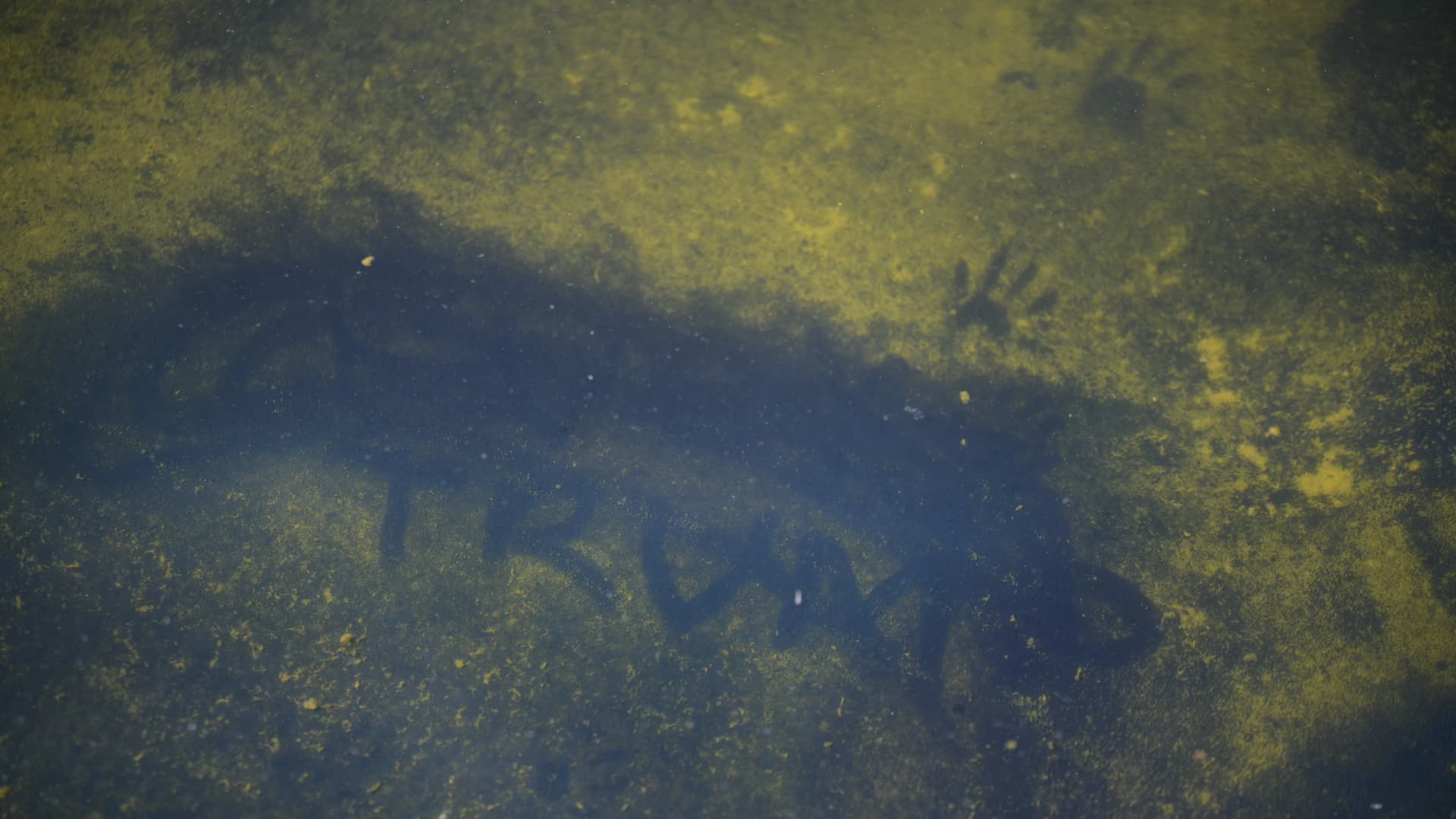 Trump tries to blame Reflecting Pool woes on vandalism, without offering substantiation
