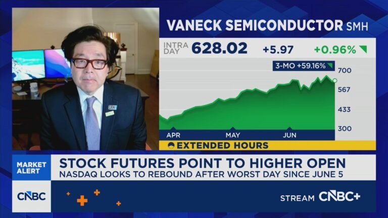 Tom Lee: Investors are trying to understand the new Mag 7 narrative