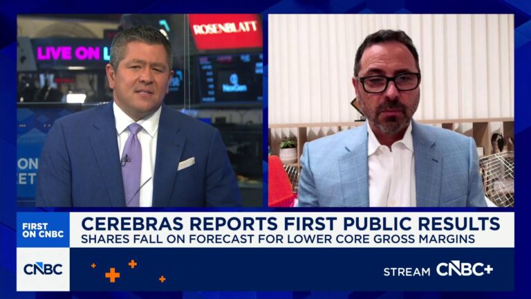 Cerebras CEO Feldman says margin forecast was 'misunderstood' as stock plummets after earnings