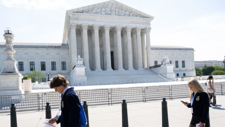 Trump laments 'tremendous loss' on mail-in ballots at Supreme Court, doubles down on voter-ID bill