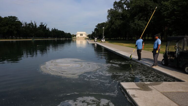 Democrats probe Trump's troubled $16 million reflecting pool renovation