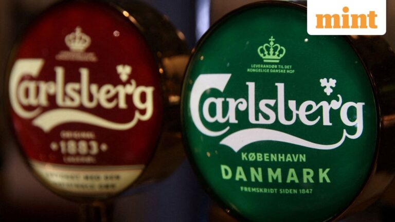 Carlsberg plans to file for $700-million India IPO in June, listing likely in 2026