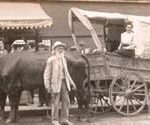 Ezra Meeker On The Oregon Trail