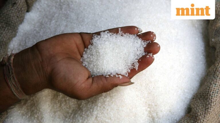 Balrampur Chini vs Dalmia Bharat vs Dhampur Sugar vs Shree Renuka Sugar: Which sugar stock to buy after Q4 results 2026?