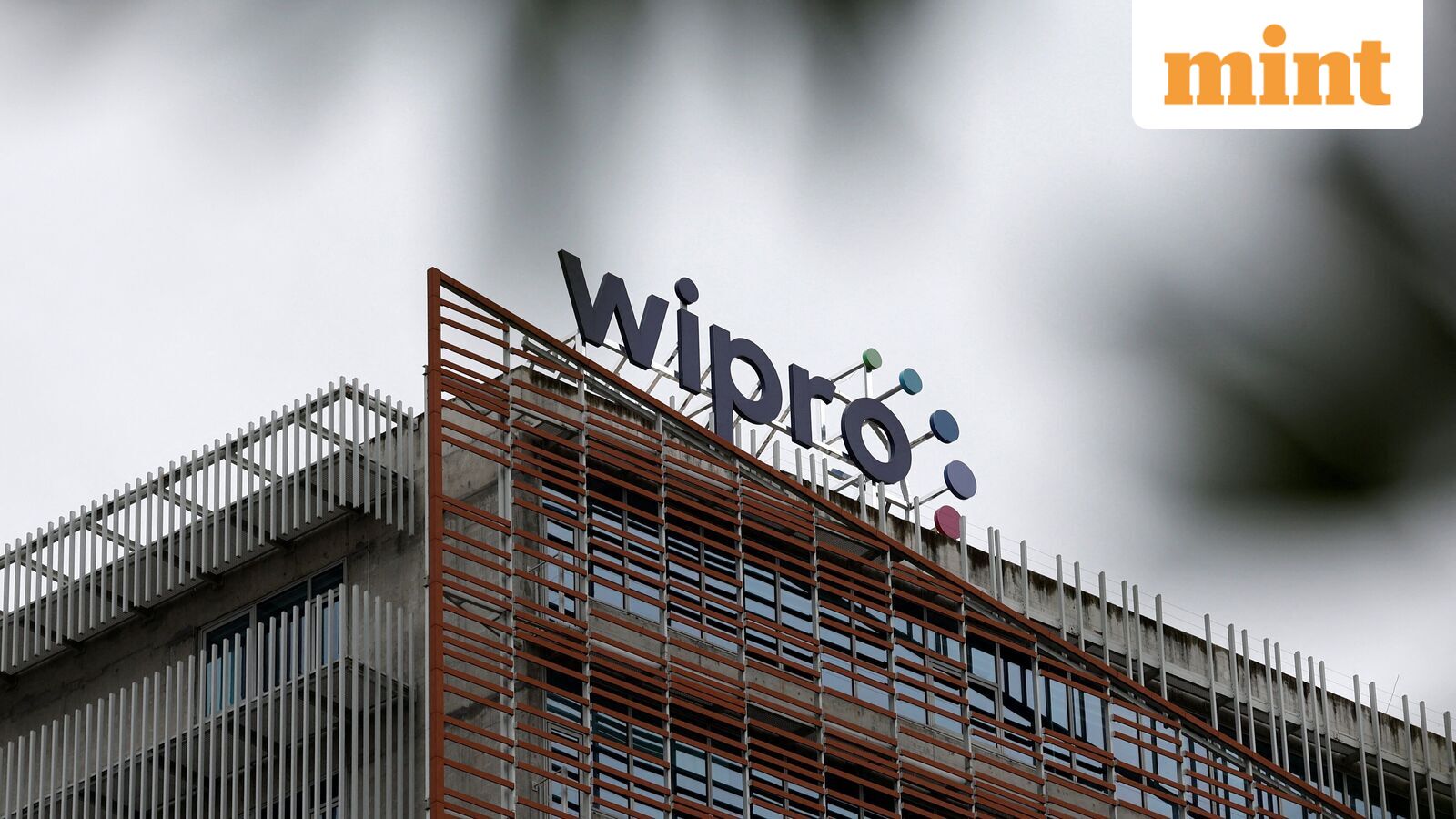 Wipro buyback is live! Experts reveal the catch behind the 37% premium - Everything shareholders need to know