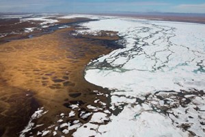 Only two bidders participate in Arctic Refuge oil lease sale