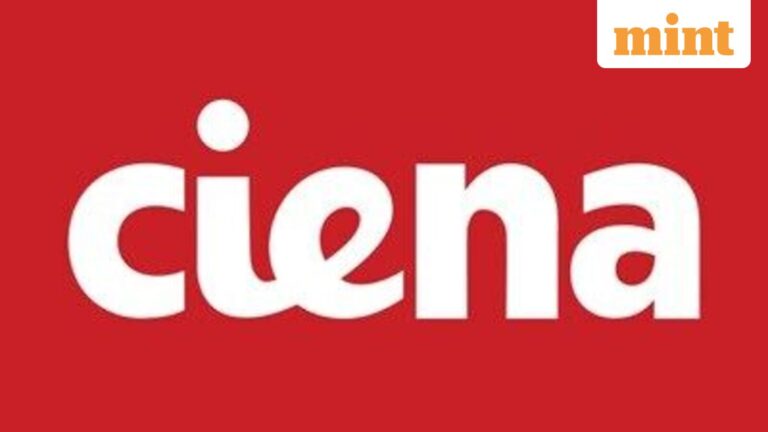 Ciena Corp shares plunge nearly 15% despite stronger-than-expected earnings
