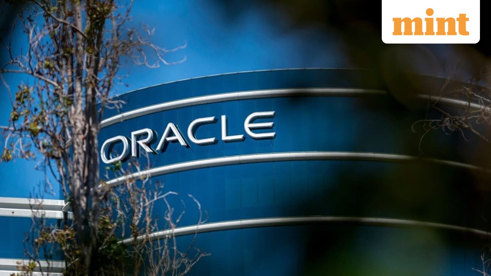 Oracle layoffs: 30,000 job cuts likely by June 15 despite booming cloud, AI growth and strong earnings