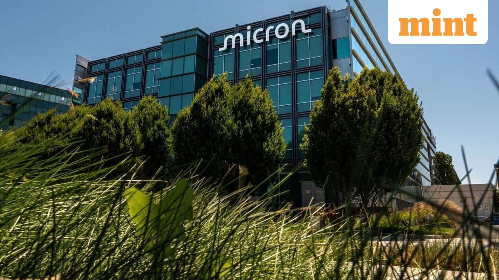 Micron Technology shares plunge 13% as global chip selloff deepens amid AI valuation concerns