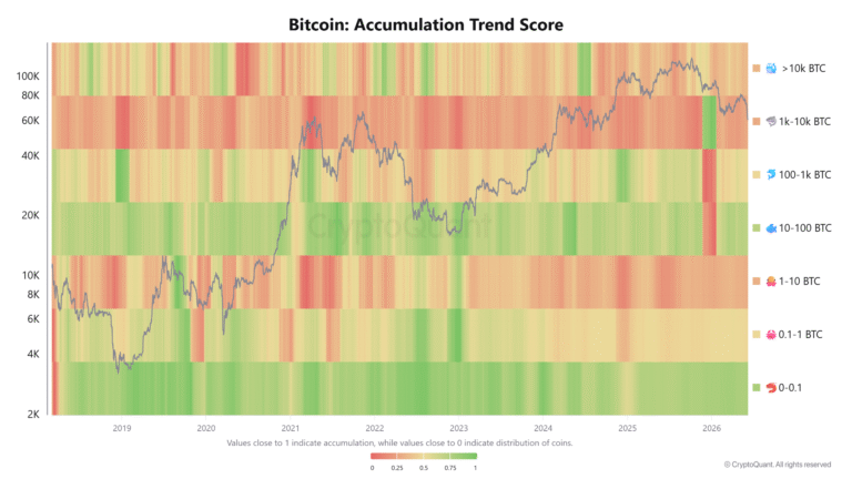 Bitcoin Holder Accumulation Surged As Metrics Fell To Record Lows