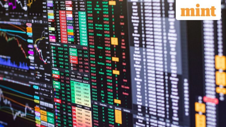 India deserves a different valuation framework in the current regime, says Delorean Partners' Amit Bhartia