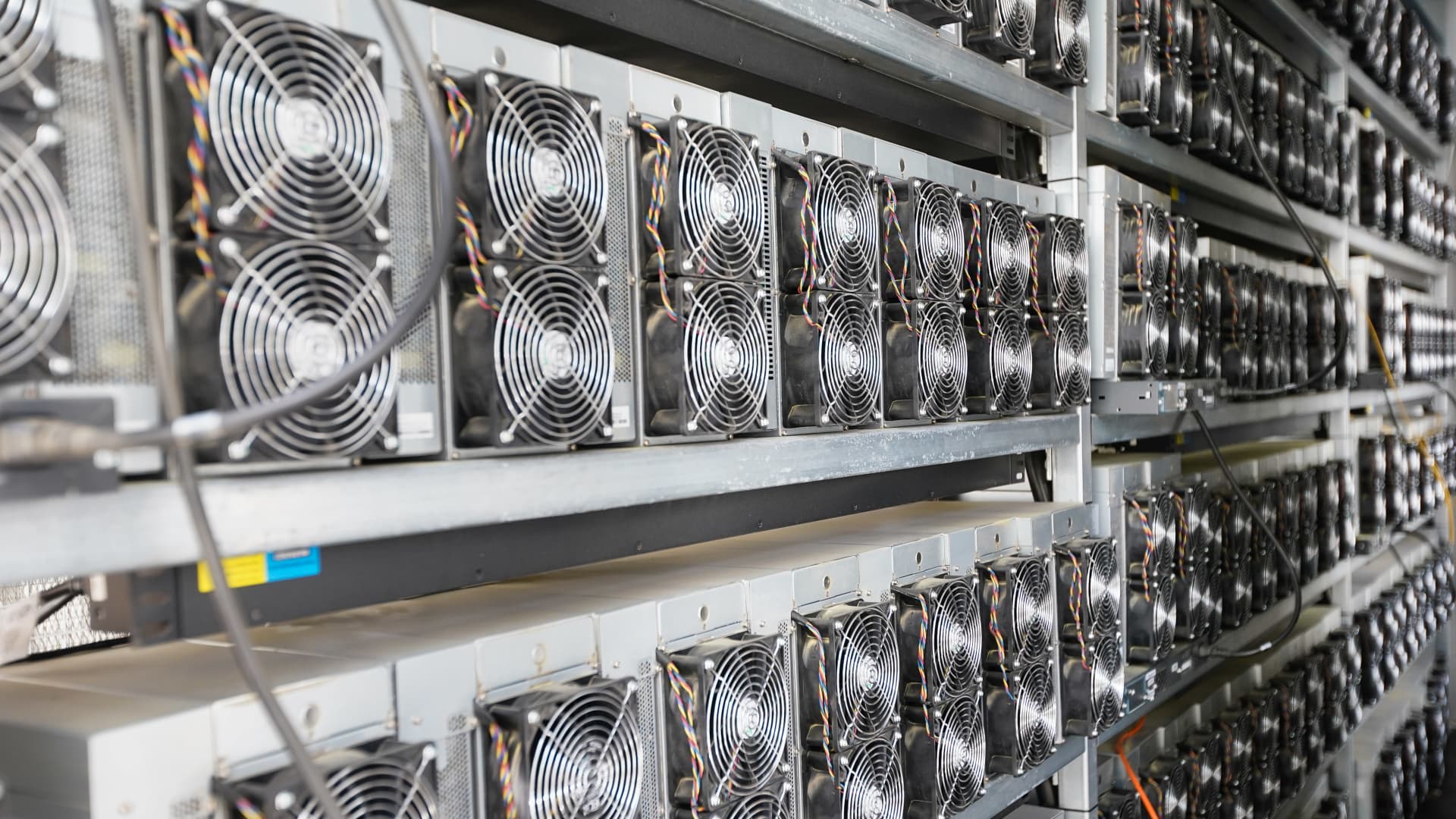 Crypto stocks rally thanks to rotation from AI infrastructure; bitcoin miners lag
