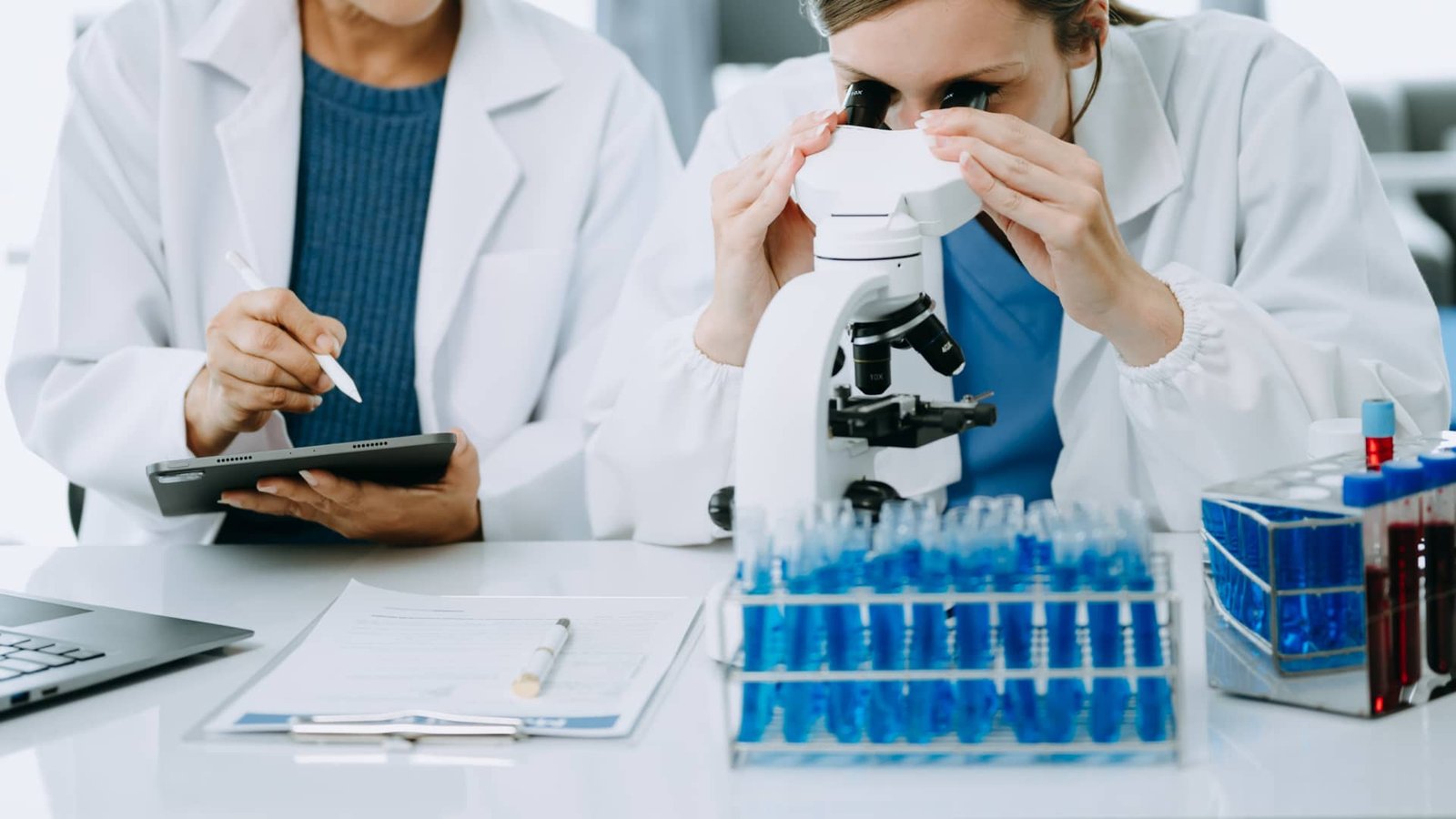 Biotech remains compelling even after major comeback. Here’s what investors say