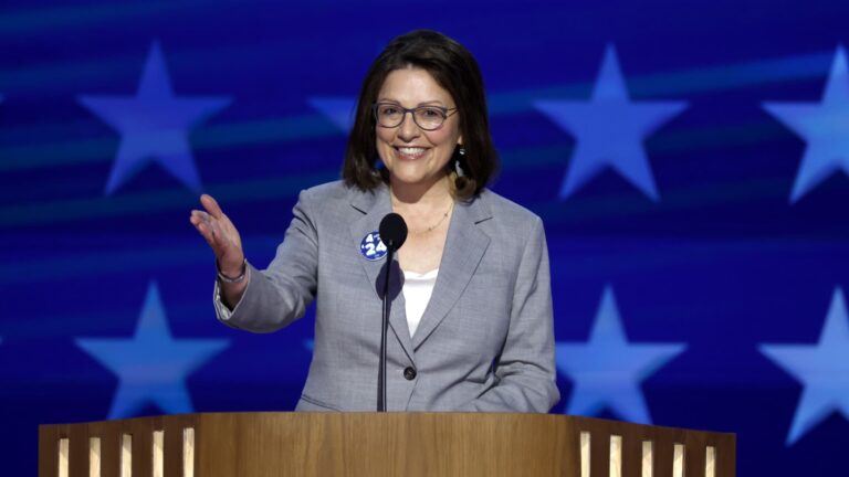 100 days until midterm election: DCCC Chair DelBene says Democrats have the momentum