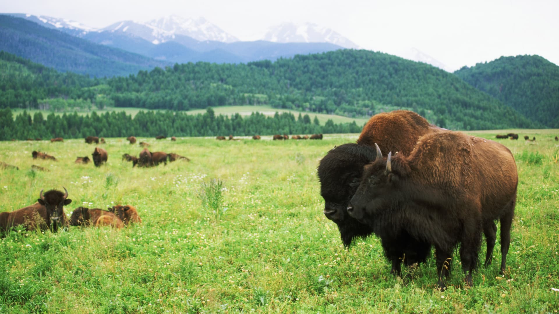 A tax break for preserving land has drawn IRS scrutiny. Here’s when it still makes sense