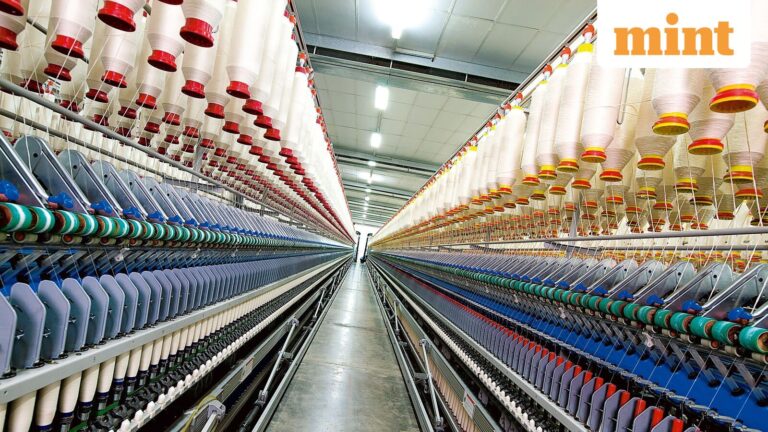 Alpine Texworld IPO opens today: Check latest GMP, subscription status, and key details - Should you apply?