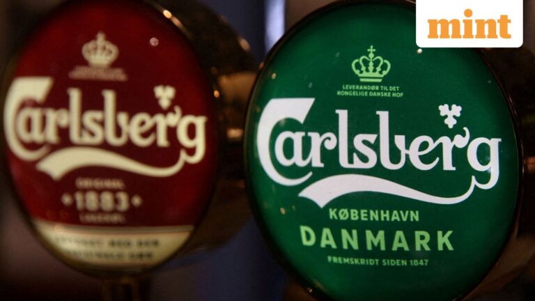 Danish brewing giant Carlsberg files IPO papers for India unit