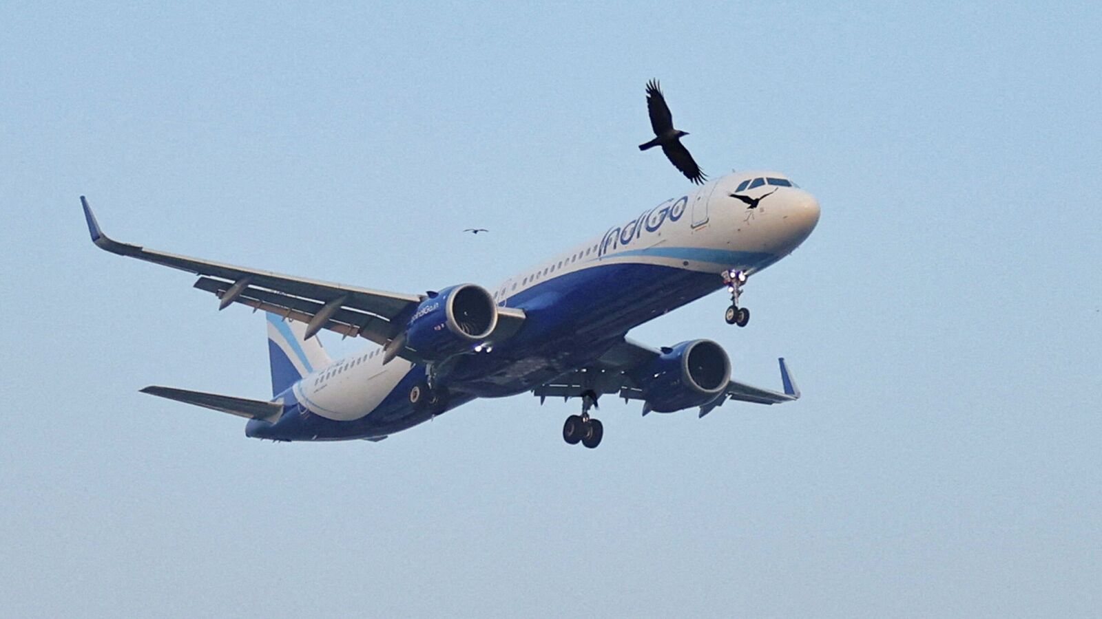 IndiGo Q1 results: Airline slips into  ₹238 crore loss amid cost pressures; revenue rises 20% YoY