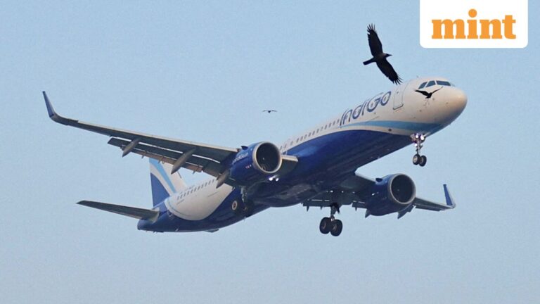 IndiGo faces rough weather in Q1, hit by skyrocketing fuel prices