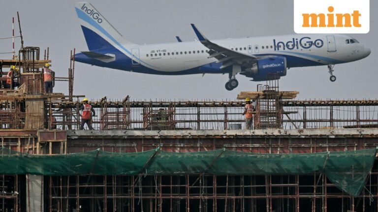 IndiGo shares trade green despite corporate shake-up. Do you own?